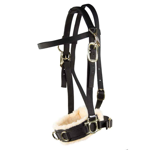 Mustang 1" Nylon Lunge Caveson Tack - Training Mustang