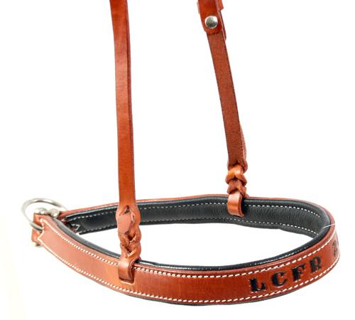Trophy Noseband #1 Customs & Awards - Headstalls Custom
