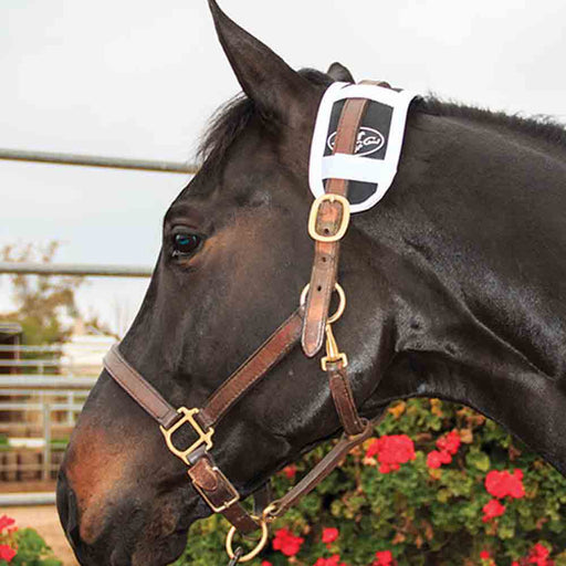 Professional's Choice Magnetic Poll Piece Tack - Halters & Leads Professional's Choice M