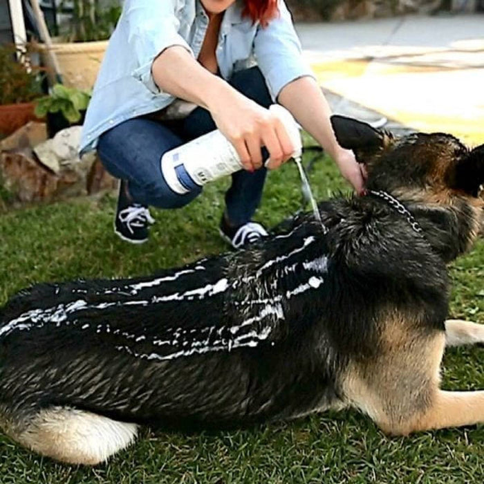 Vetericyn Foaming Spray Shampoo - Thick Coats Pets - Cleaning & Grooming Vetericyn