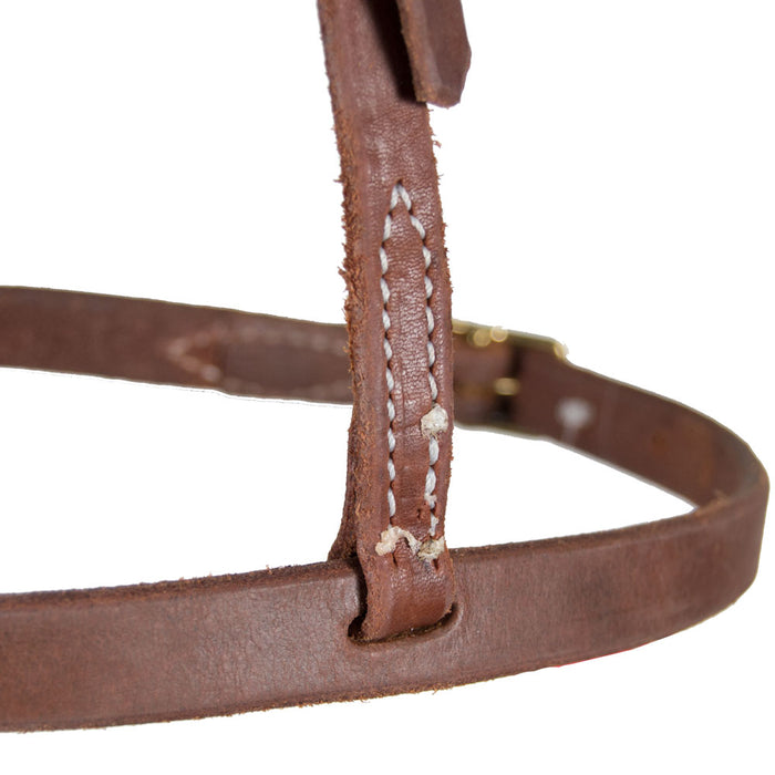 Teskey's Cavesson Noseband Tack - Nosebands & Tie Downs Teskey's