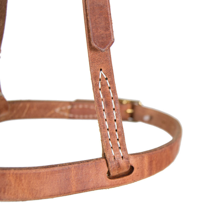 Teskey's Cavesson Noseband Tack - Nosebands & Tie Downs Teskey's