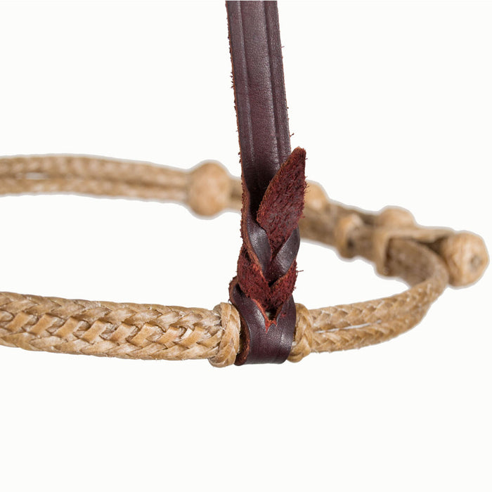Teskey's Double Braided Rawhide Cavesson Tack - Nosebands & Tie Downs Teskey's