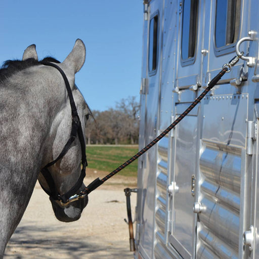Cashel Triple Shock Cord Truck & Trailer - Accessories Cashel