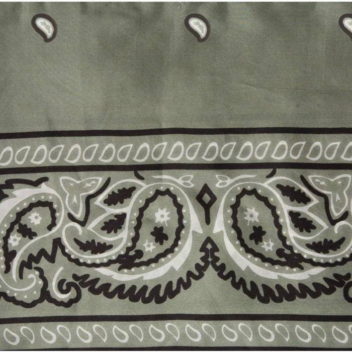 Bandana Silk Wild Rag - Sage ACCESSORIES - Additional Accessories - Wild Rags & Scarves Wyoming Traders