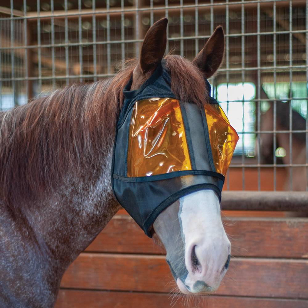 What size should I get for my average size horse in the XPert Equine Standard Restoration Equine Mask?