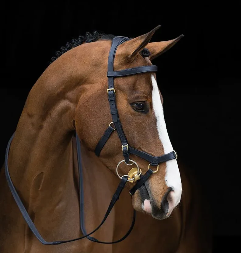 NEW Rambo Micklem Competition Bridle/Reins - Black Questions & Answers