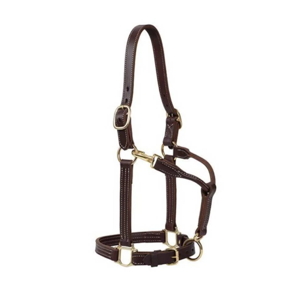 Weaver 1" Track Halter Canyon Rose Questions & Answers