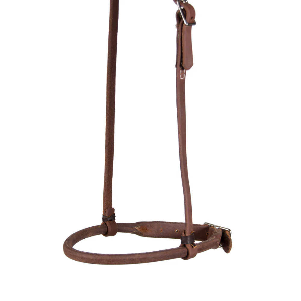 What is the size of the Teskey's Rolled Cavesson round the nose?