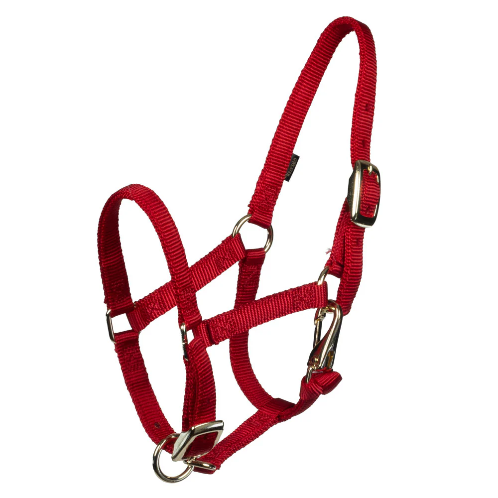 What kind of hardware does the Weaver Miniature Horse Halter use?