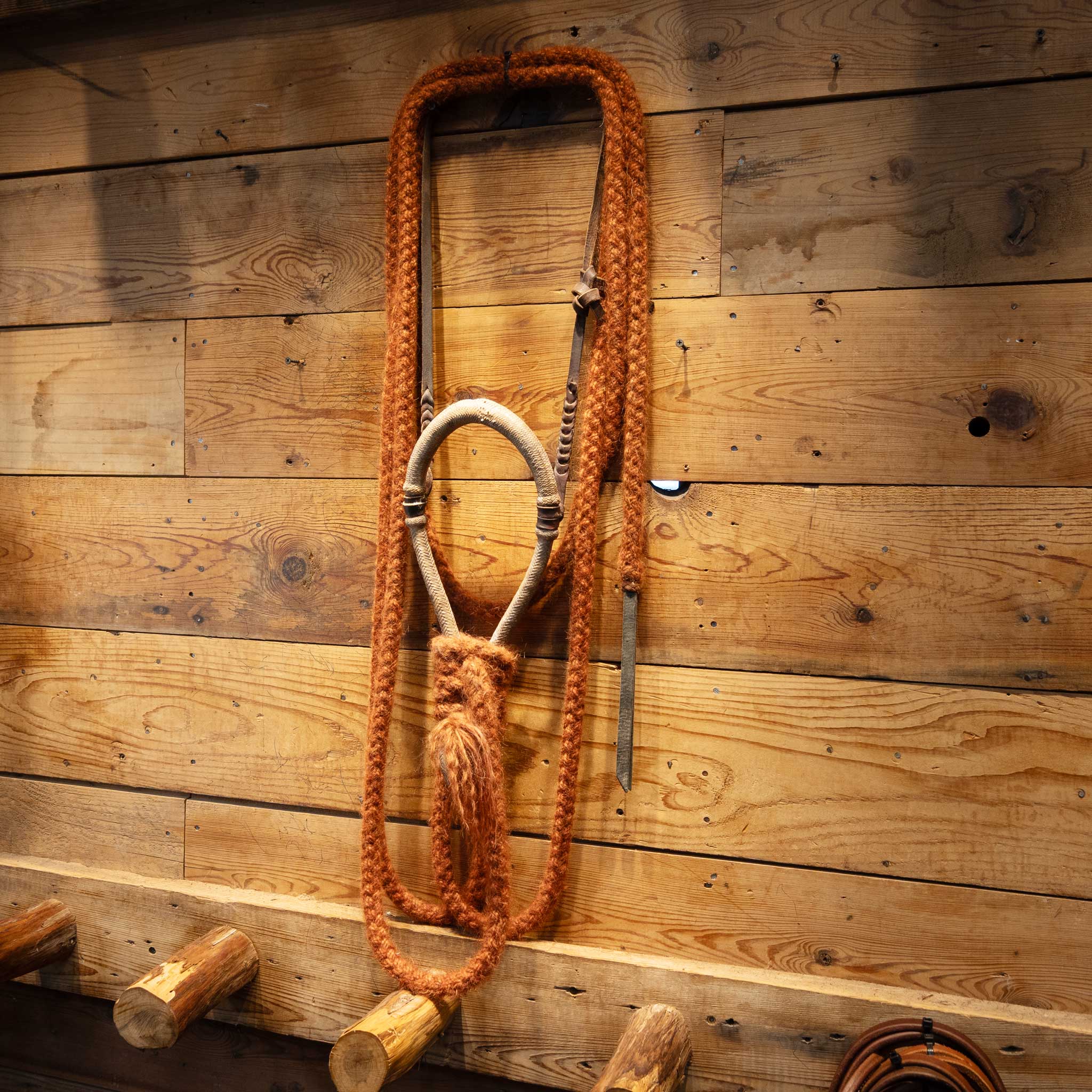 Rawhide Bosal w/ Leather Hanger & Mecate Set up Questions & Answers