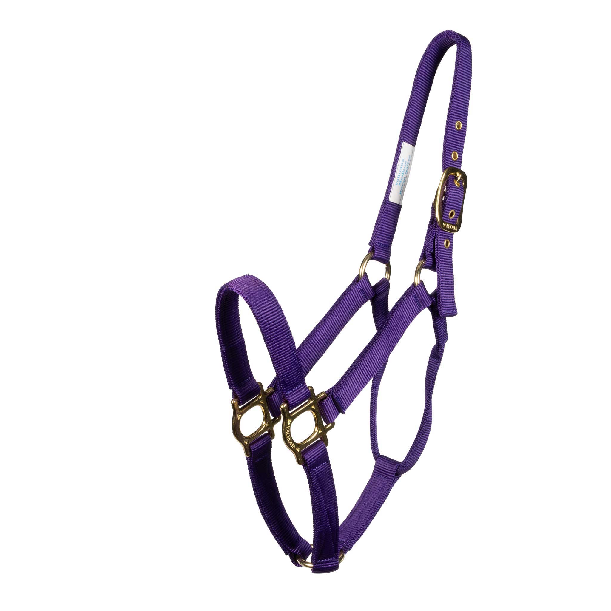 Why is solid brass hardware important in a horse halter?