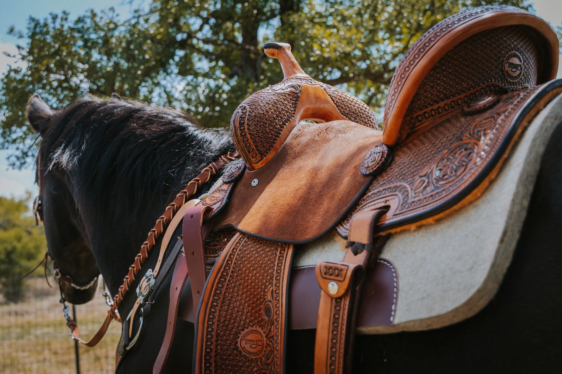 The Teskey’s Guide to Saddle Fit