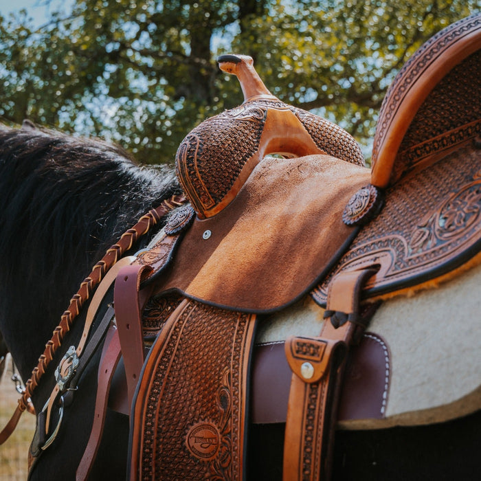The Teskey’s Guide to Saddle Fit
