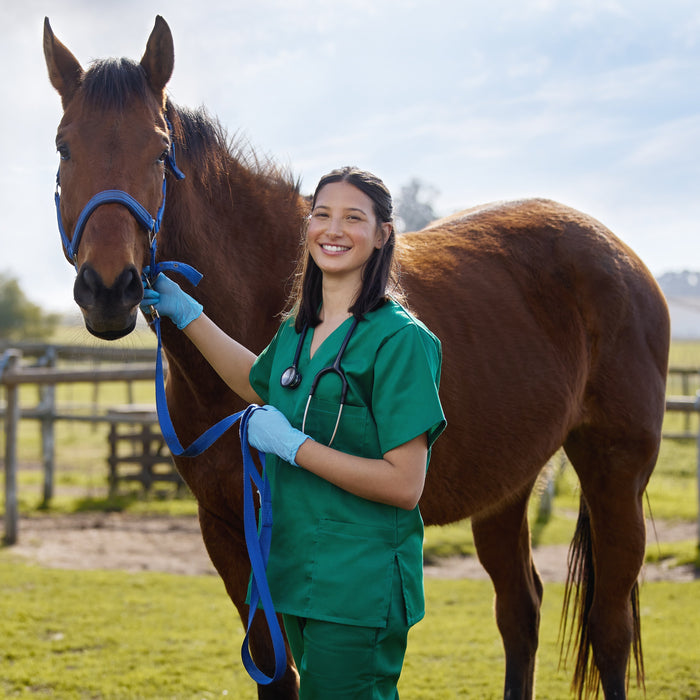 Understanding Equine Choke: Causes, Signs, and Vet Care