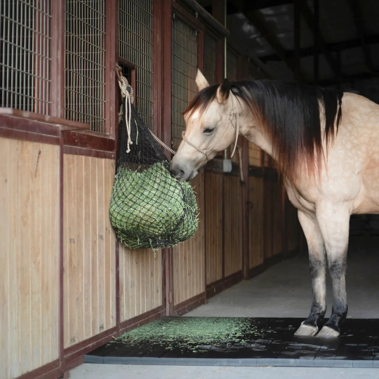 HAY CHIX® Hay Net: The Perfect Way to Keep Your Horse Entertained and Healthy