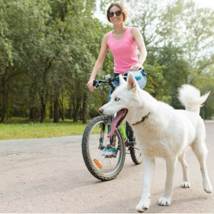 Biking with Your Dog
