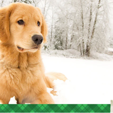 Cold Weather Safety
