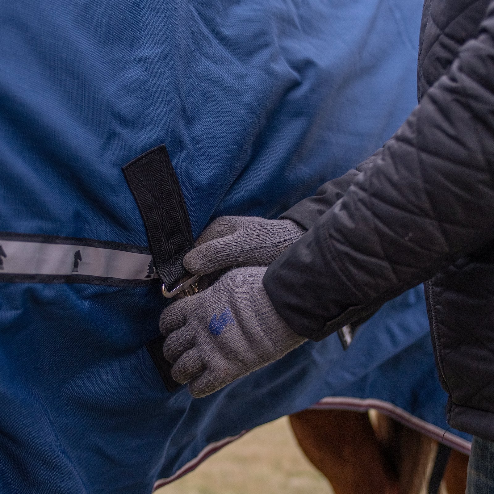 Determining your Horses Winter Blanket