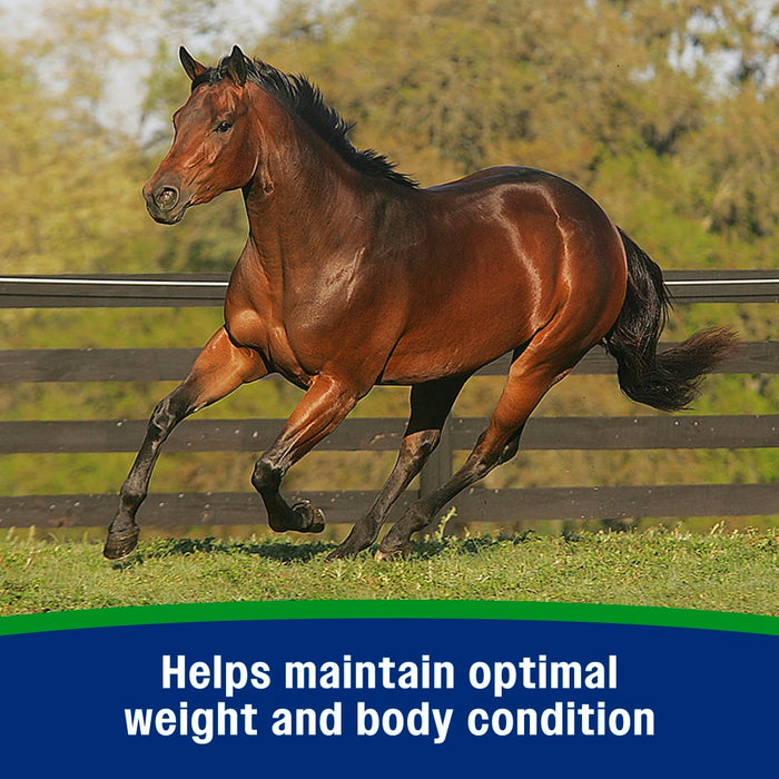Farnam Weight Builder Equine - Supplements Farnam