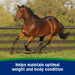 Farnam Weight Builder Equine - Supplements Farnam