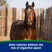 Farnam Weight Builder Equine - Supplements Farnam