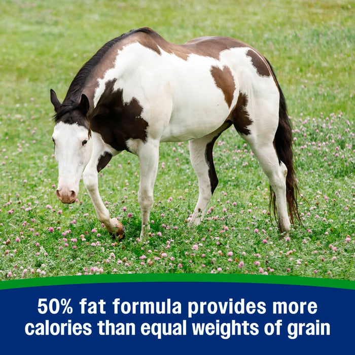 Farnam Weight Builder Equine - Supplements Farnam