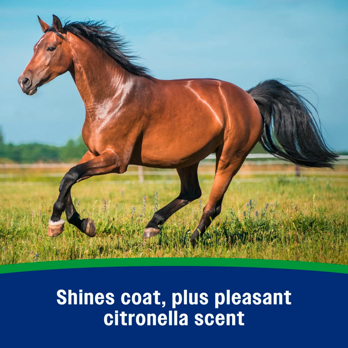 Farnam Wipe II Fly Spray with Citronella Equine - Fly & Insect Control Farnam
