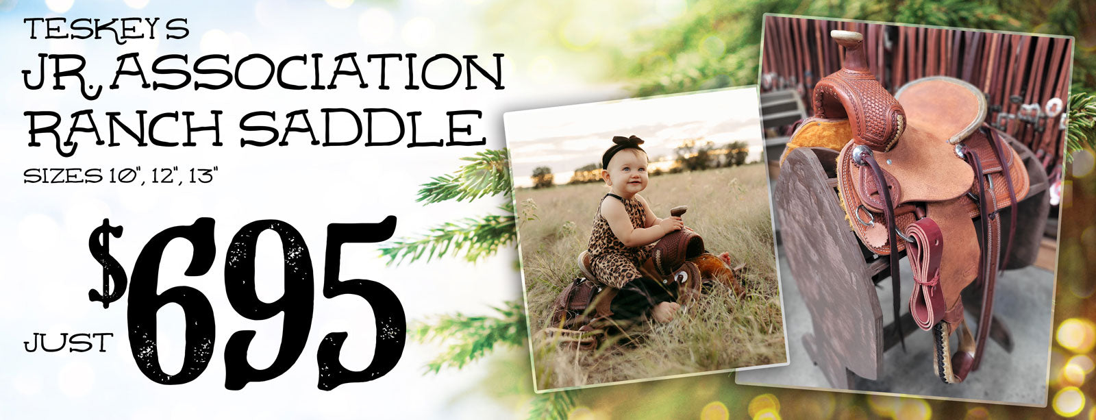 Western Tack Store Horse Saddle Shop Teskey's