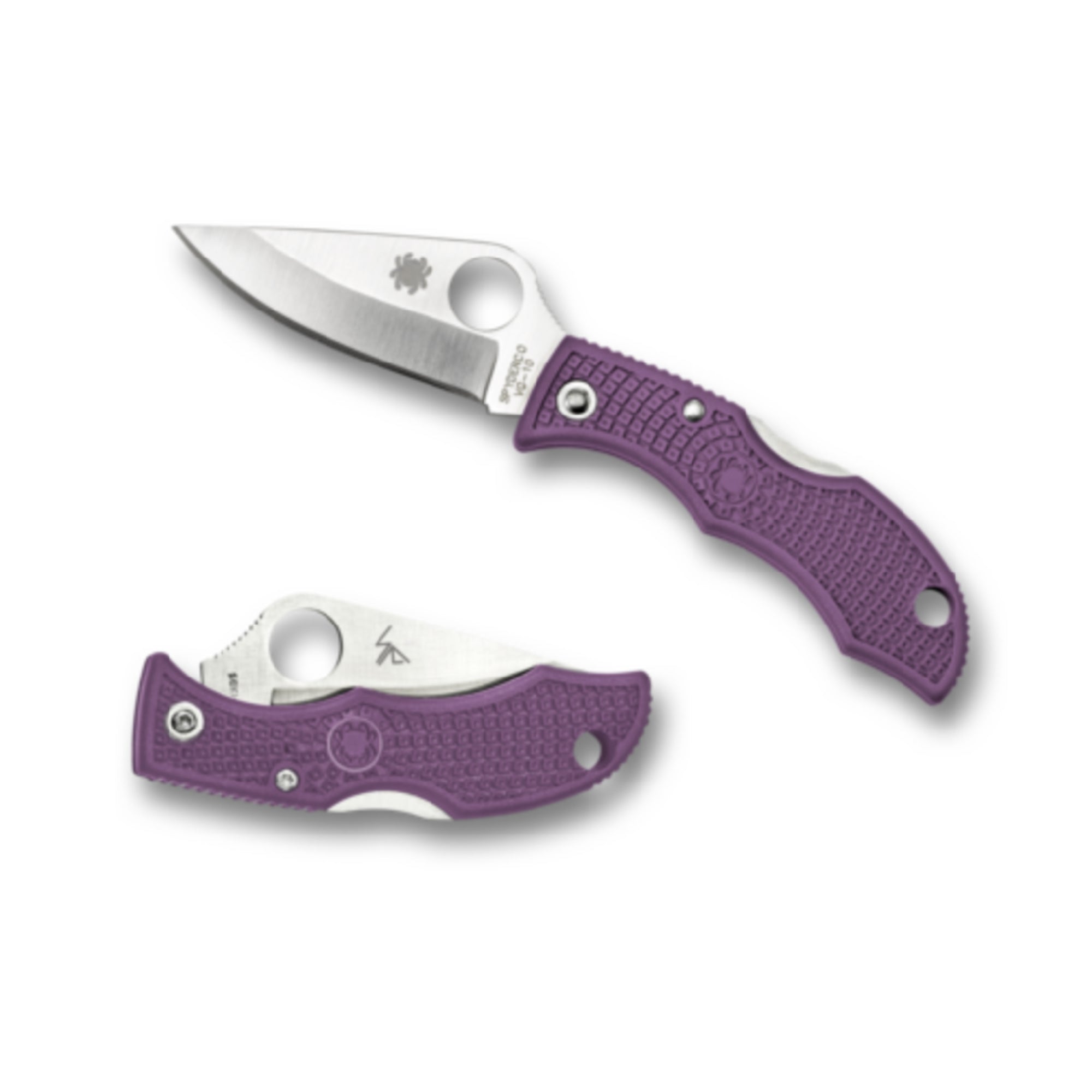 Spyderco Ladybug 3 Purple Plainedge Knives SPYDERCO   