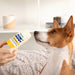 Vetericyn Paw 'N Snout Pet Balm First Aid & Medical - Topicals Vetericyn