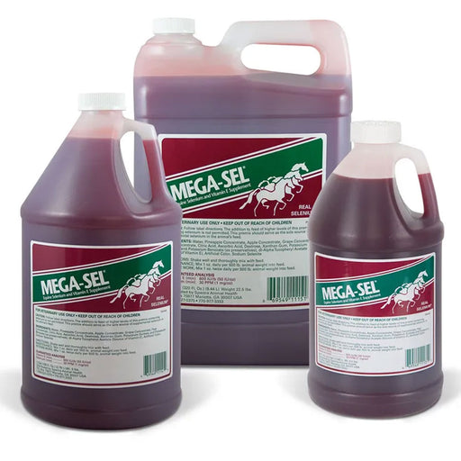 Spectra Animal Health Mega-Sel Equine - Supplements Spectra Animal Health