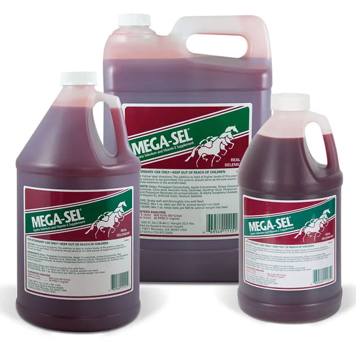 Spectra Animal Health Mega-Sel Equine - Supplements Spectra Animal Health
