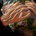 Kinco Woman's Hydro Flector Water-Resistant Synthetic Gloves For the Rider - Gloves Kinco