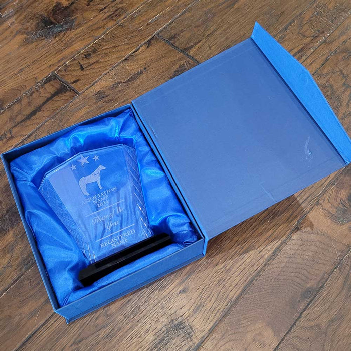 Engravable Glass Trophy Customs & Awards - MISC Trophy