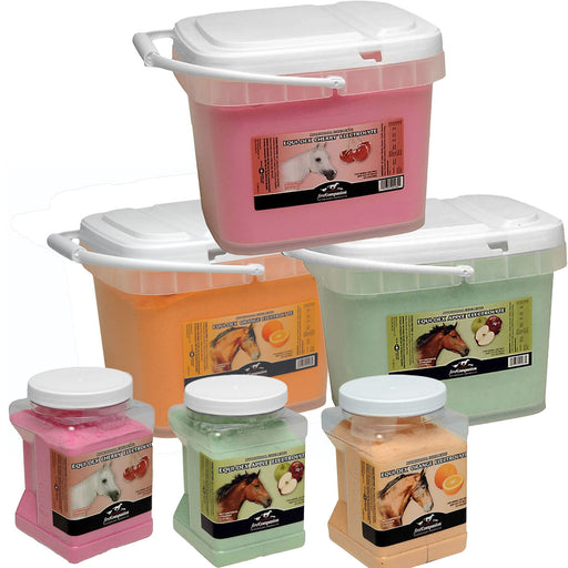First Companion Equi-Dex Electrolytes Equine - Supplements First Companion