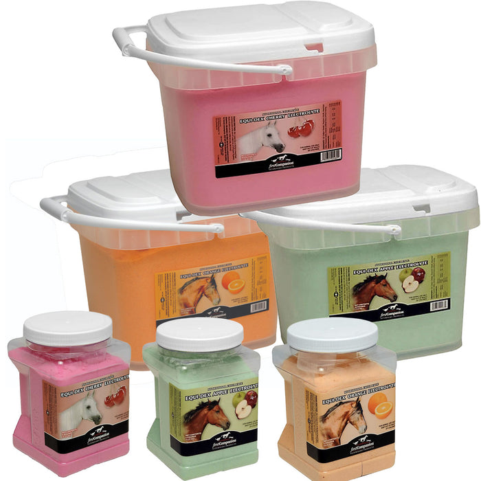 First Companion Equi-Dex Electrolytes Equine - Supplements First Companion