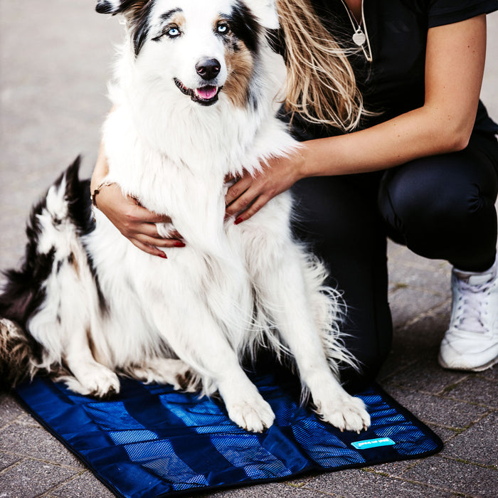 Cool on Track Towel Equine - Therapeutic Back on Track