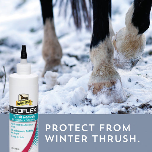 Absorbine Thrush Remedy Farrier & Hoof Care - Topicals Absorbine   