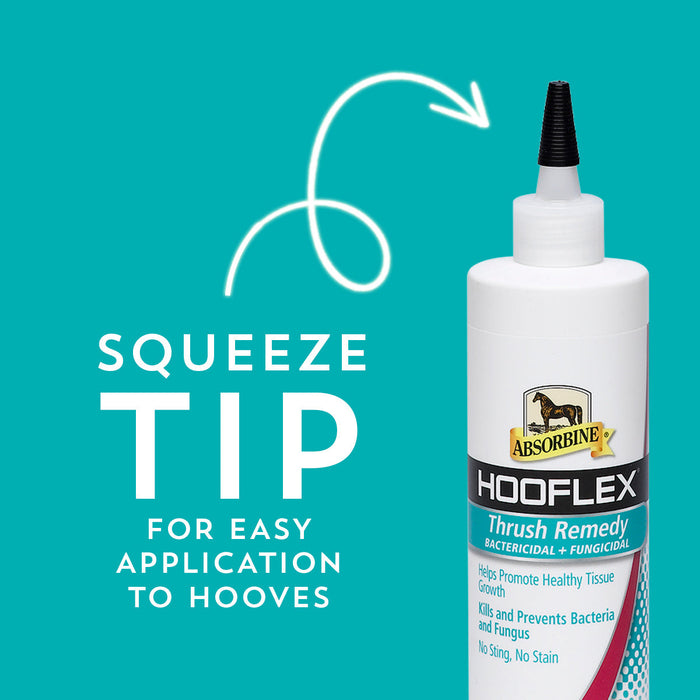 Absorbine Thrush Remedy Farrier & Hoof Care - Topicals Absorbine   