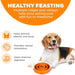 Outward Hound Orange Swirl Fun Feeder Dog Bowl Pets - Feeding & Watering Outwardhound