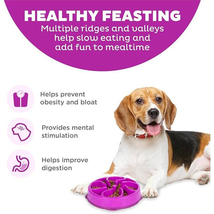 Outward Hound Purple Flower Fun Feeder Dog Bowl Pets - Feeding & Watering Outwardhound