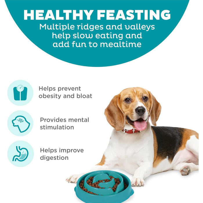 Outward Hound Turquoise Drop Fun Feeder Dog Bowl Pets - Feeding & Watering Outwardhound