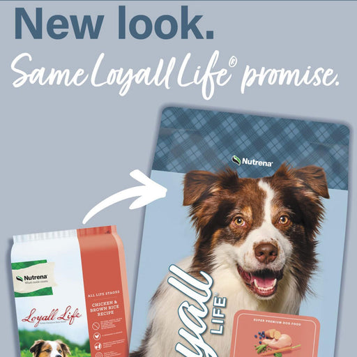 Nutrena Loyall Life All Life Stages Chicken & Rice Dog Food - 20lb Bag Feed & Hay - Feed Nutrena