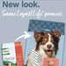Nutrena Loyall Life All Life Stages Chicken & Rice Dog Food - 20lb Bag Feed & Hay - Feed Nutrena