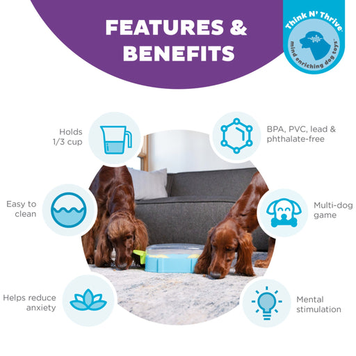 Paw N' Play Treat Puzzle Pets - Toys & Treats Outward Hound