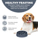 Outward Hound Charcoal Notch Fun Feeder Dog Bowl Pets - Feeding & Watering Outwardhound