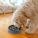 Outward Hound Charcoal Notch Fun Feeder Dog Bowl Pets - Feeding & Watering Outwardhound