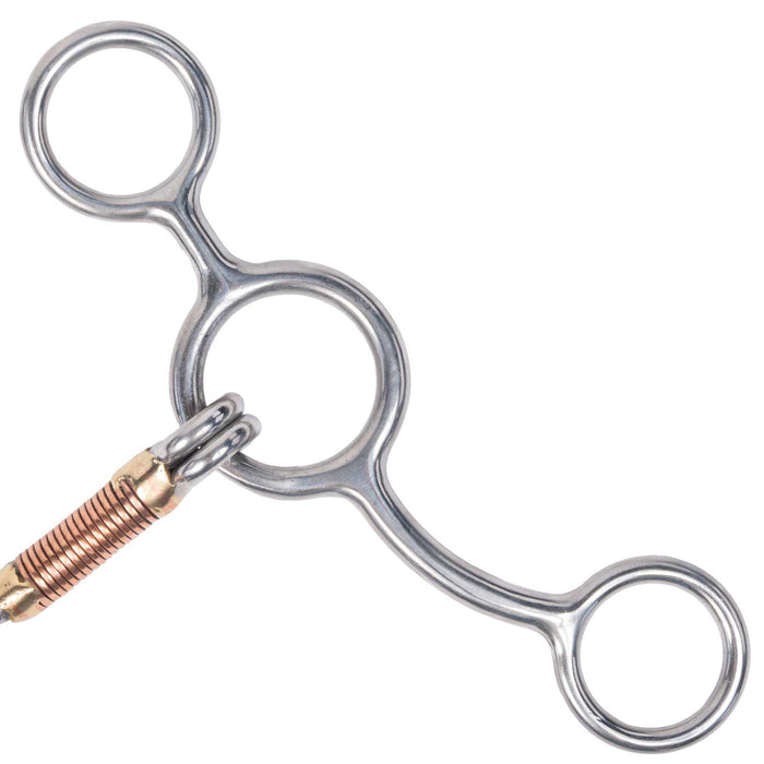 Professional's Choice Equisential Performance Lifesaver Shank Bit