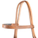 Teskey's Harness Leather Sidepull Tack - Training Teskey's